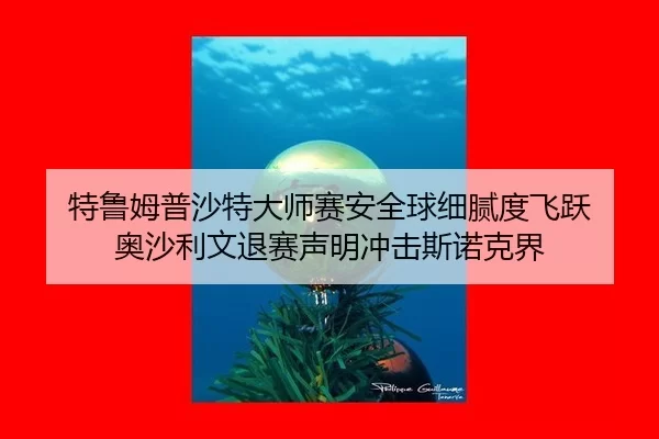 te-lu-mu-pu-sha-te-da-shi-sai-an-quan-qiu-xi-ni-du-fei-yue-ao-sha-li-wen-tui-sai-sheng-ming-chong-ji-si-nuo-ke-jie-2-430.jpg